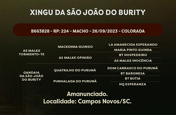 Geração  XINGU DA SÃO JOÃO DO BURITY