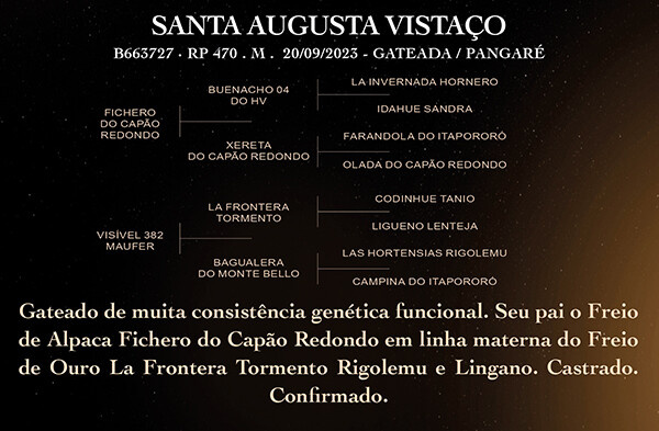 Geração SANTA AUGUSTA VISTAÇO