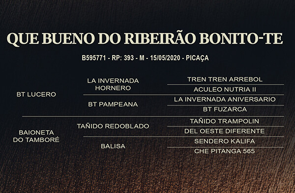 Geração QUE BUENO DO RIBEIRÃO BONITO-TE 