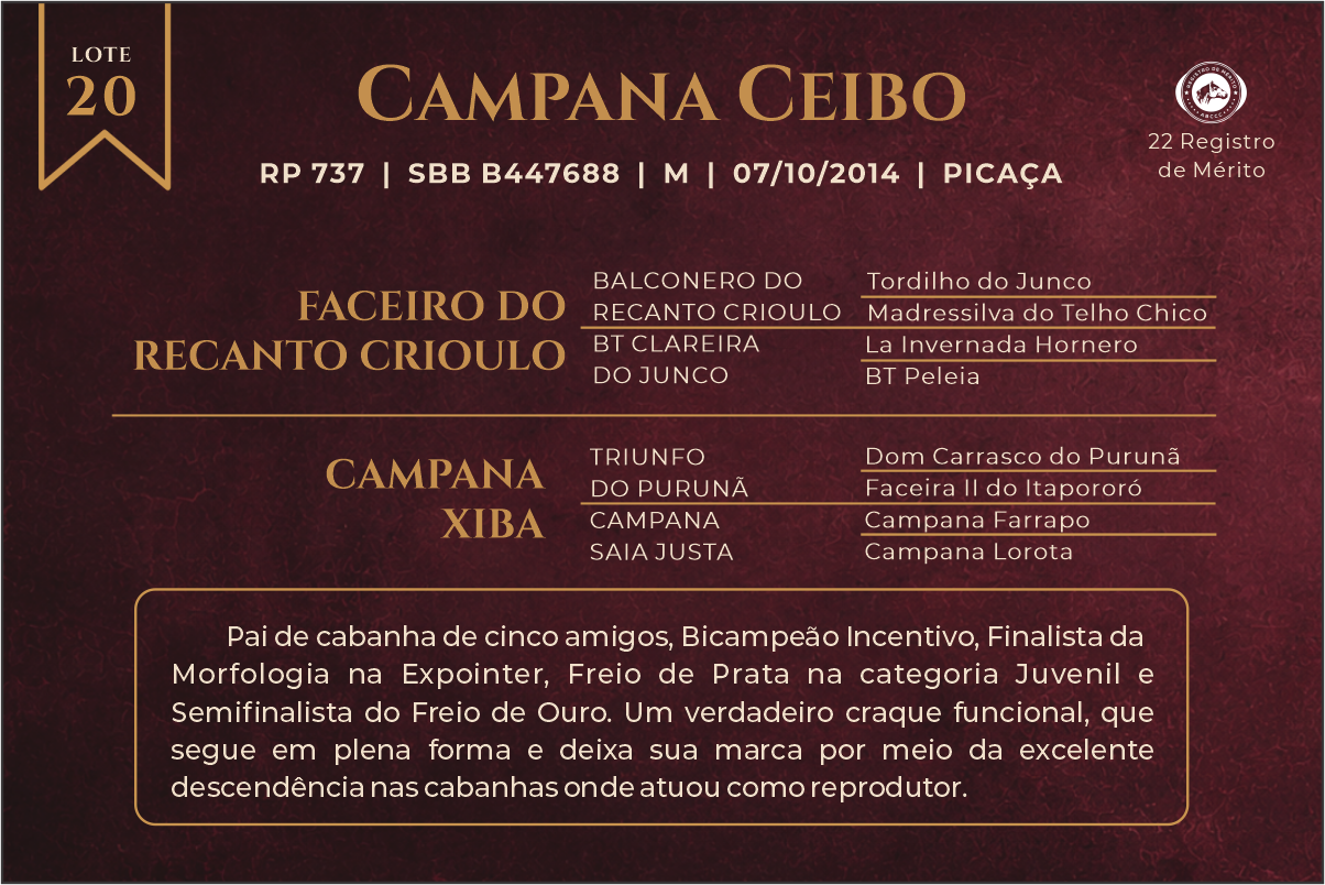 Geração CAMPANA CEIBO