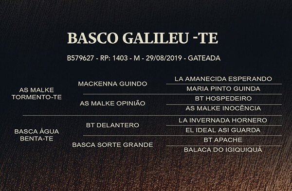 Geração BASCO GALILEU-TE