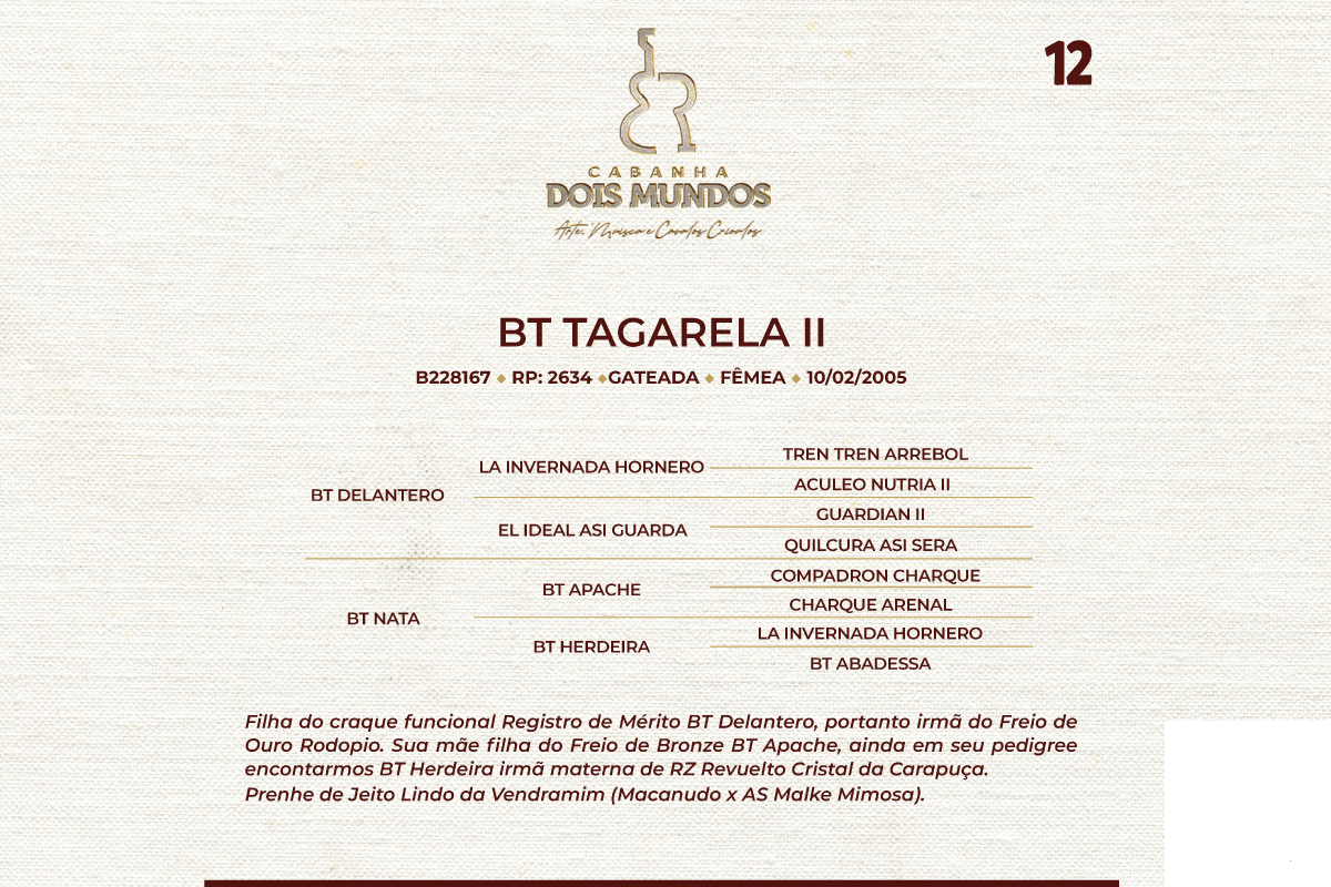 Geração  BT TAGARELA II