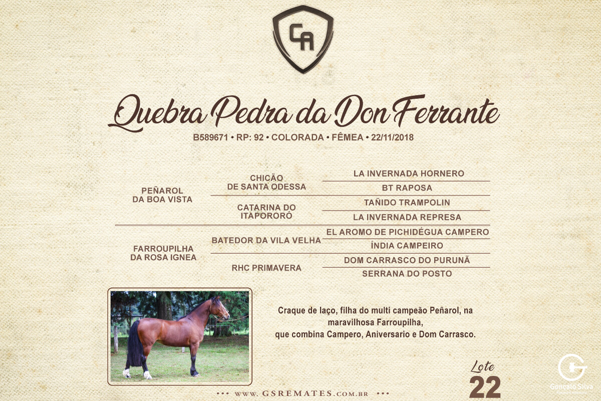 Geração QUEBRA PEDRA DA DON FERRANTE