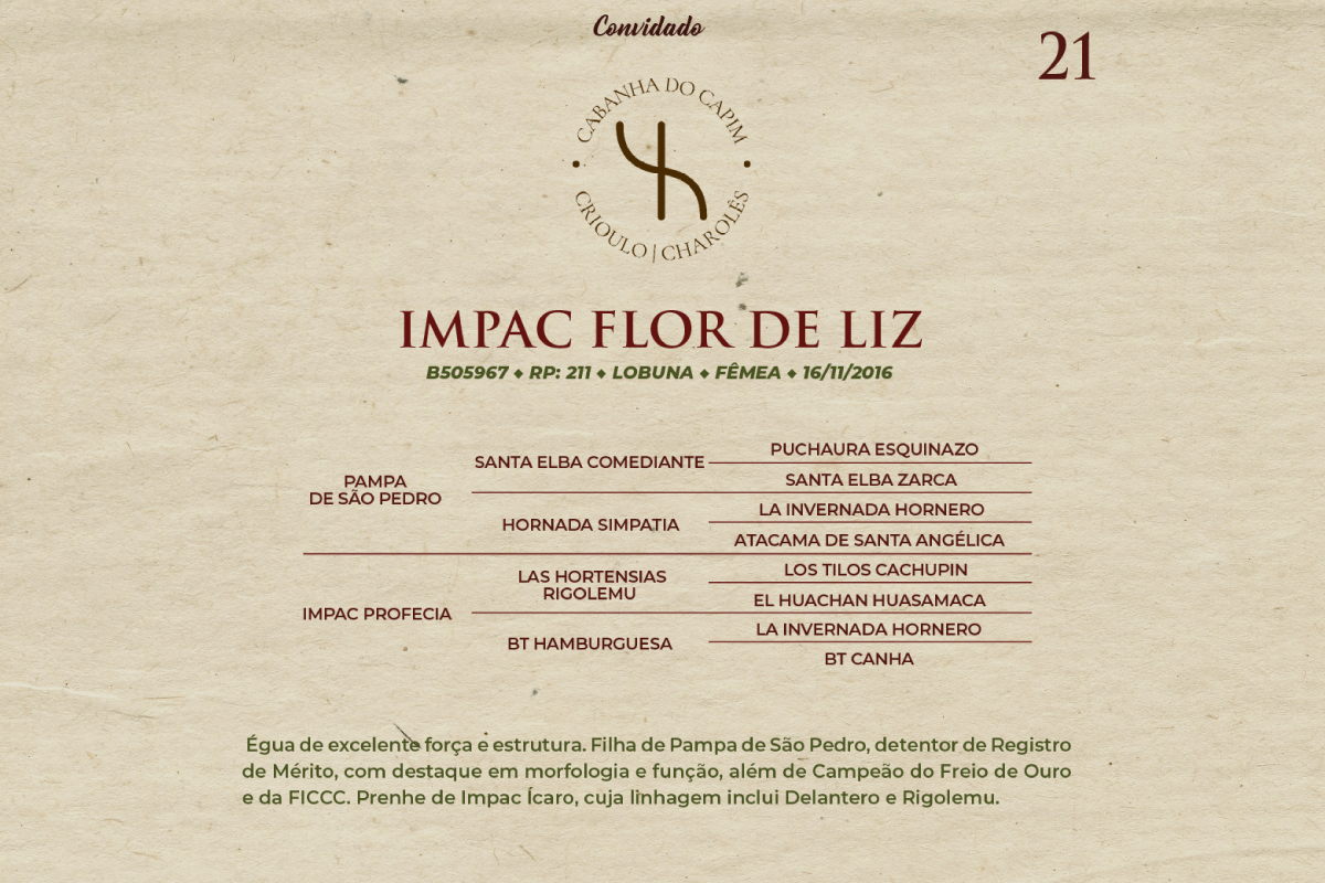 Geração IMPAC FLOR DE LIZ