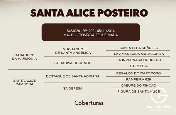 Geração COBERTURA SANTA ALICE POSTEIRO
