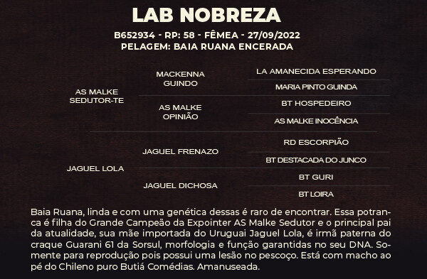 Geração LAB NOBREZA
