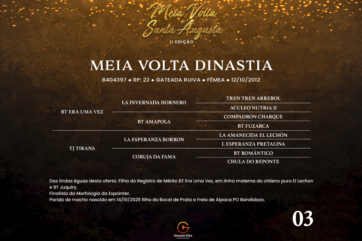 Geração MEIA VOLTA DINASTIA