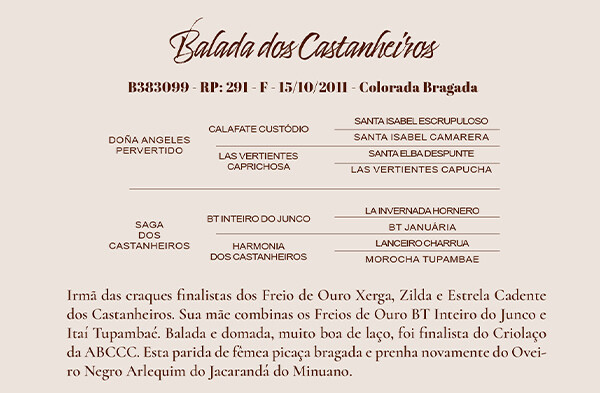 Geração BALADA DOS CASTANHEIROS