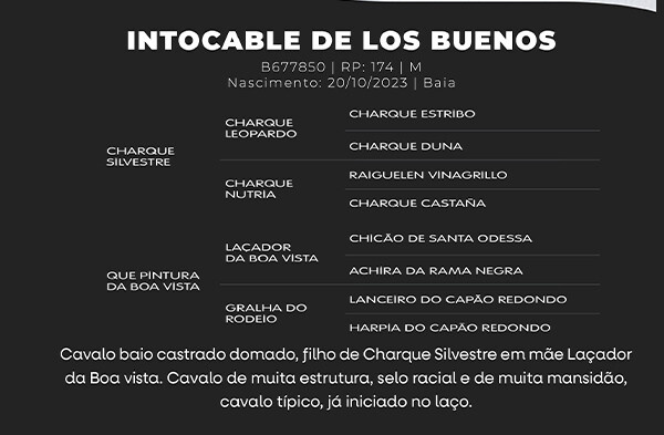 Geração INTOCABLE DE LOS BUENOS