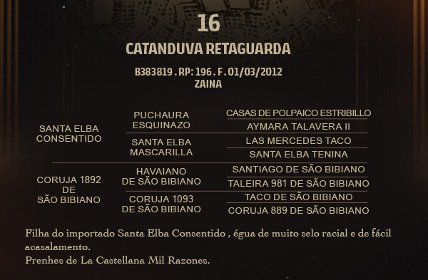 Geração CATANDUVA RETAGUARDA