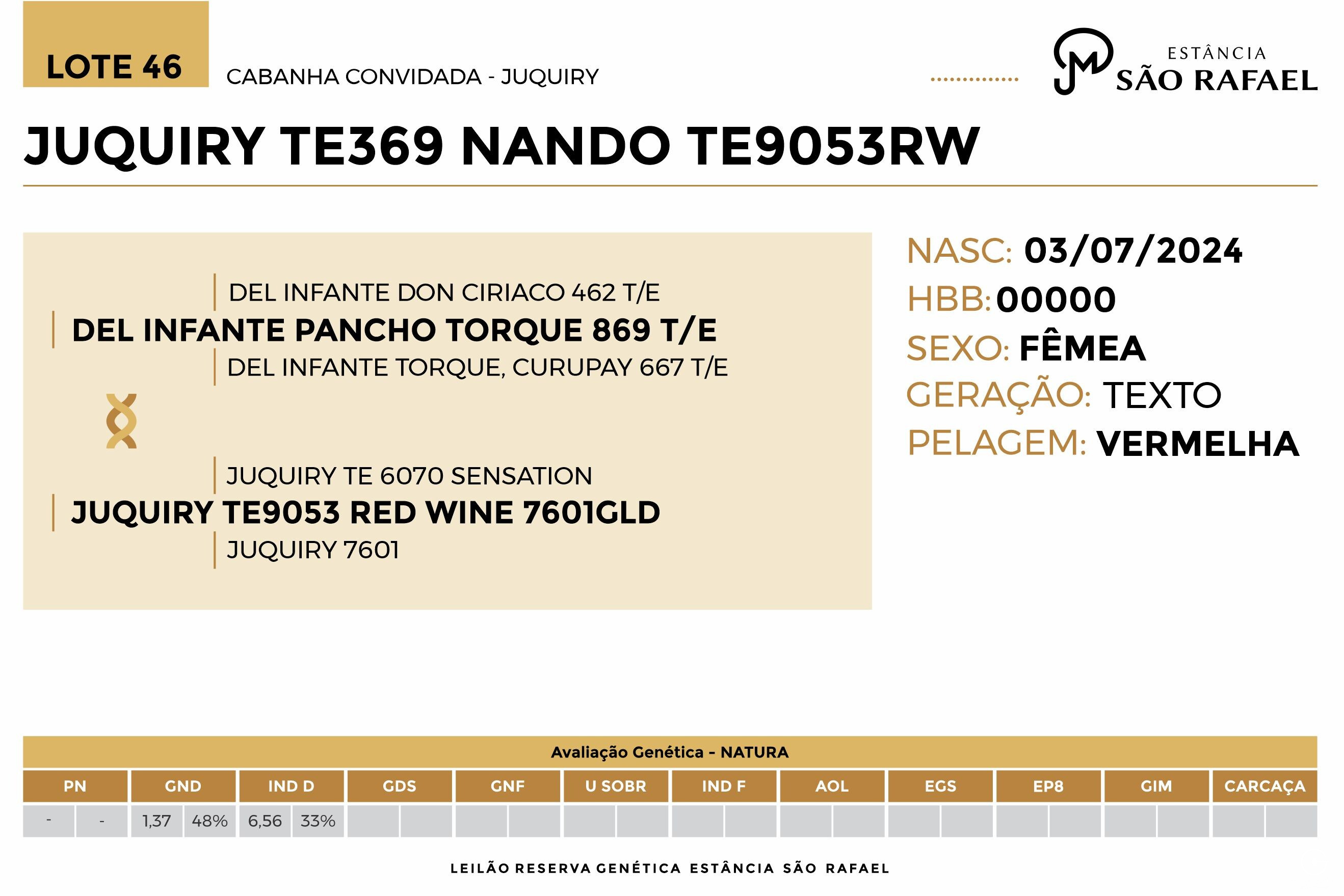 Geração JUQUIRY TE369 NANDO TE9053RW