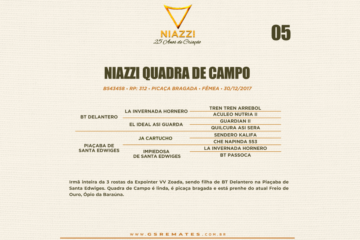 Geração NIAZZI QUADRA DE CAMPO