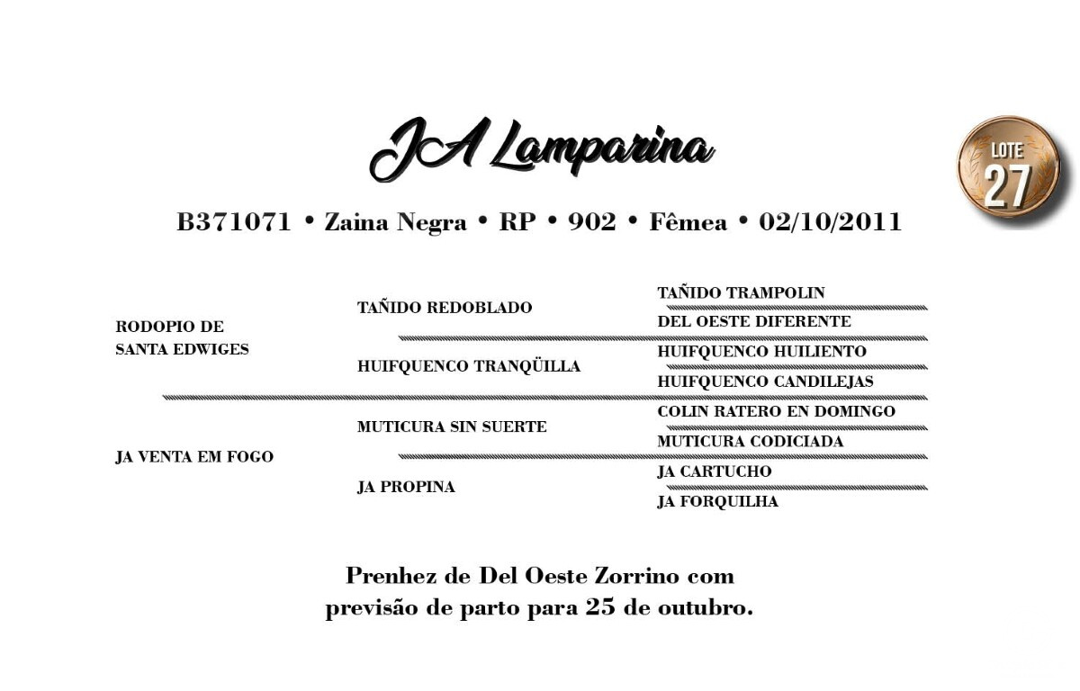 Geração JA LAMPARINA