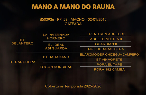 Geração MANO A MANO DO RAUNA