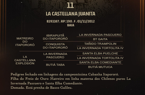 Geração LA CASTELLANA JUANITA
