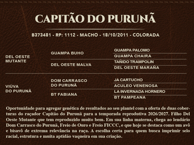 Geração CAPITÃO DO PURUNÃ - COBERTURAS