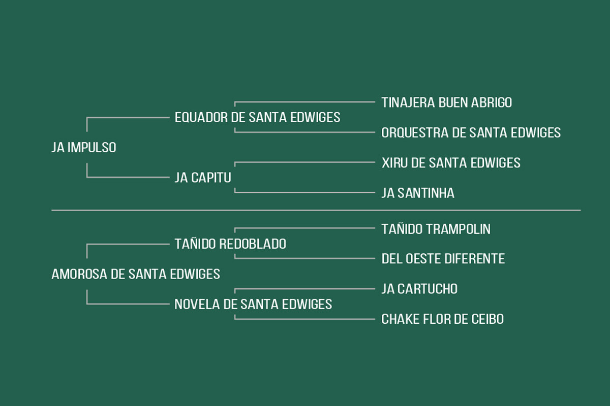 Geração OPALINA DA CABANHA SANTA FÉ