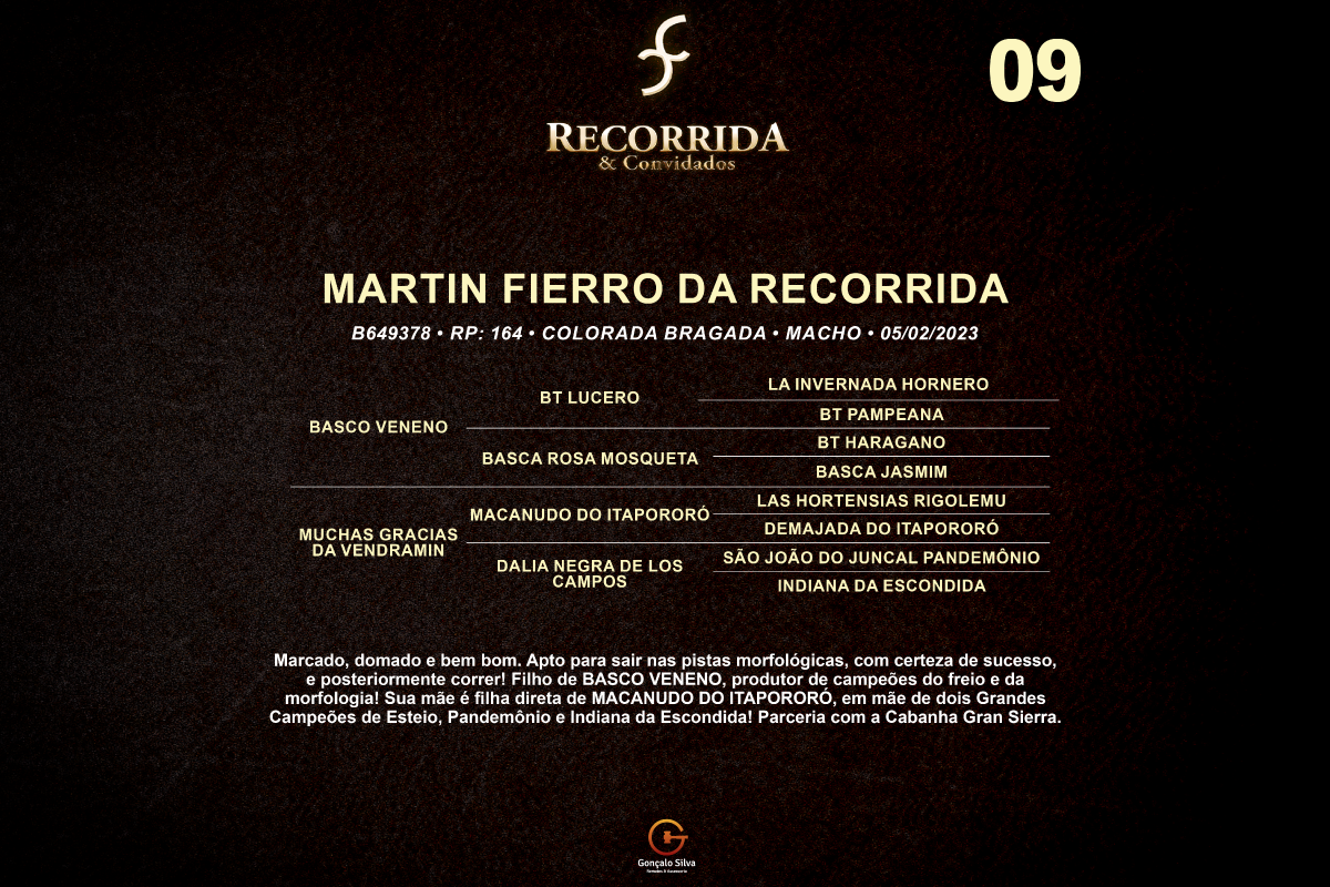 Geração MARTIN FIERRO DA RECORRIDA 