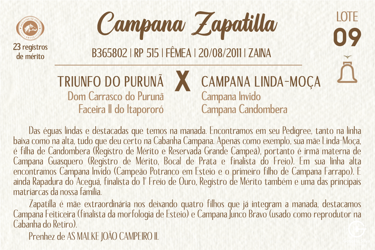 Geração CAMPANA ZAPATILLA