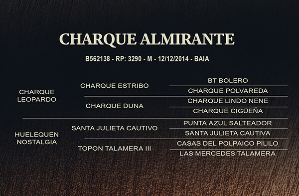 Geração CHARQUE ALMIRANTE