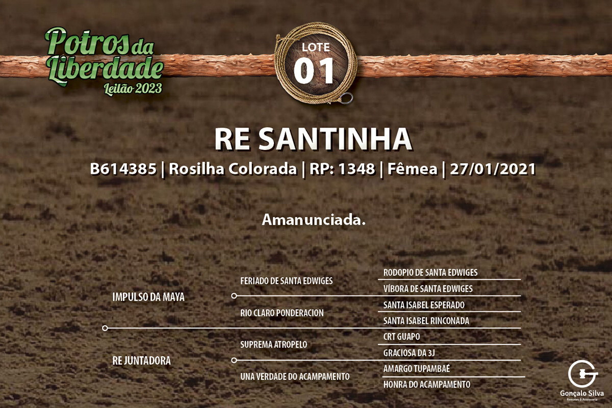 Geração RE SANTINHA