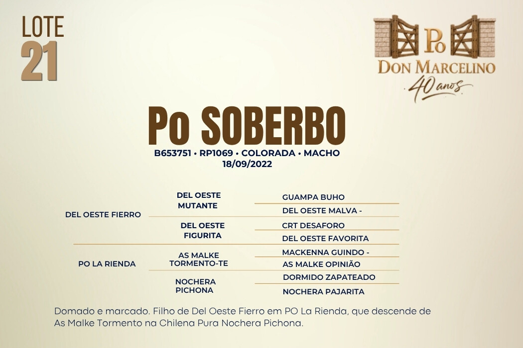 Geração PO SOBERBO
