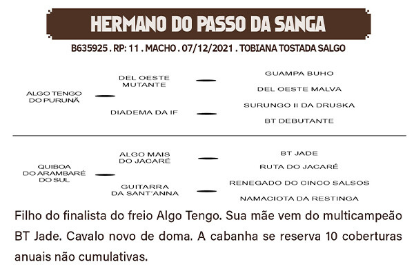 Geração HERMANO DO PASSO DA SANGA