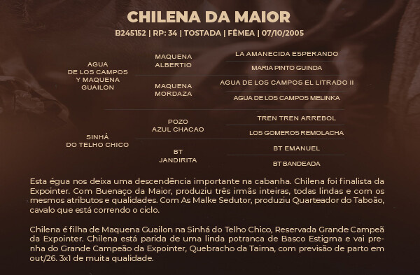 Geração CHILENA DA MAIOR 