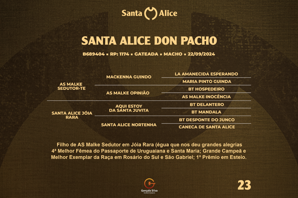 Geração SANTA ALICE DON PANCHO