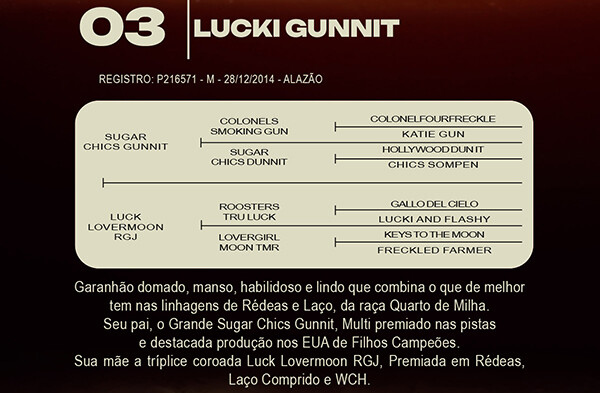 Geração LUCKI GUNNIT