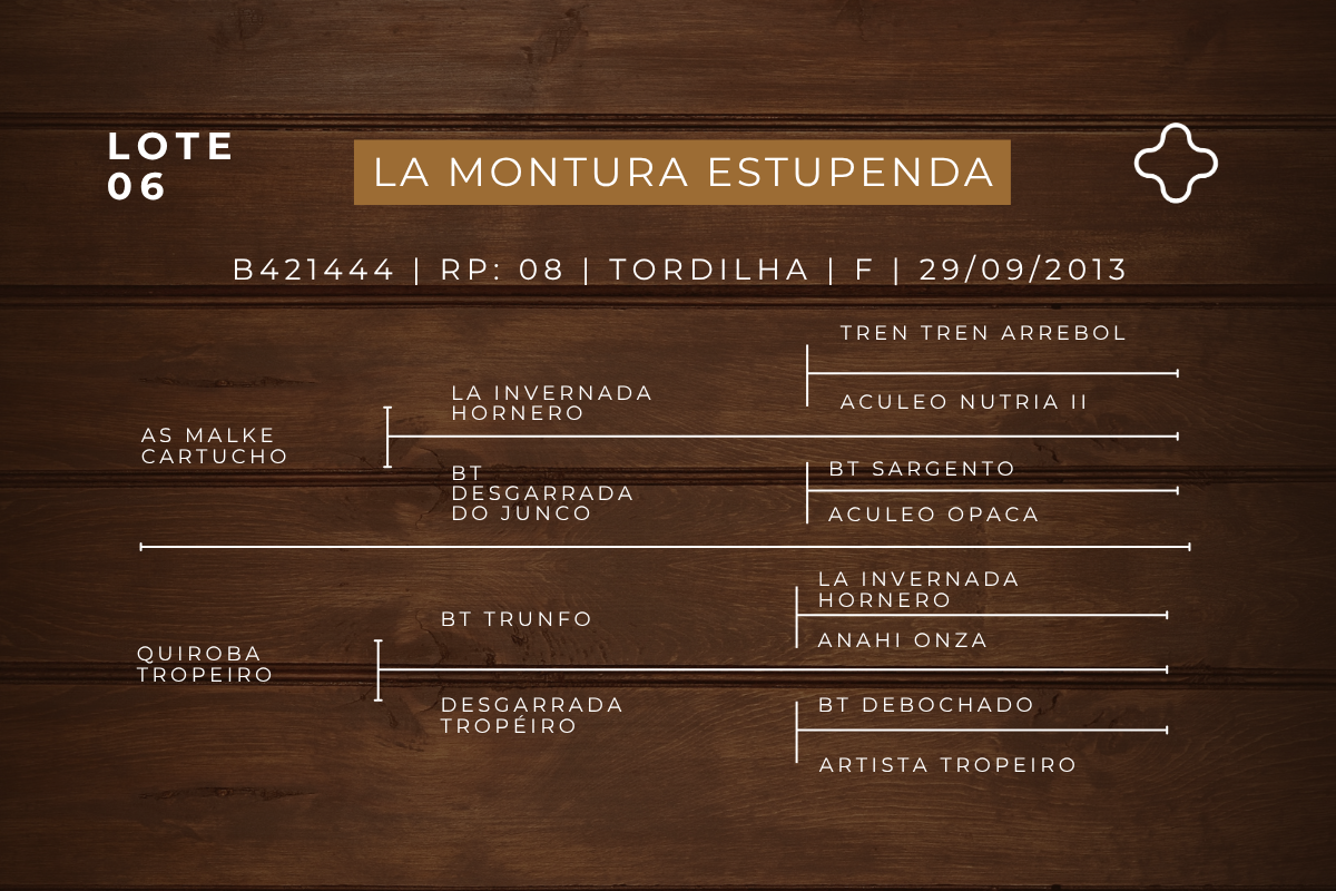 Geração LA MONTURA ESTUPENDA 