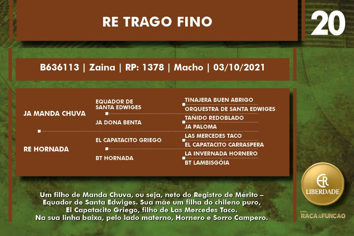 Geração RE TRAGO FINO