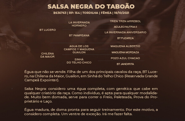 Geração SALSA NEGRA DO TABOÃO