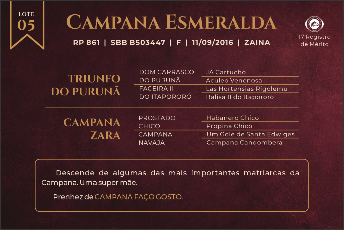 Geração CAMPANA ESMERALDA