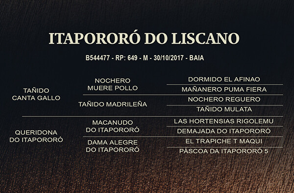 Geração ITAPORORÓ DO LISCANO