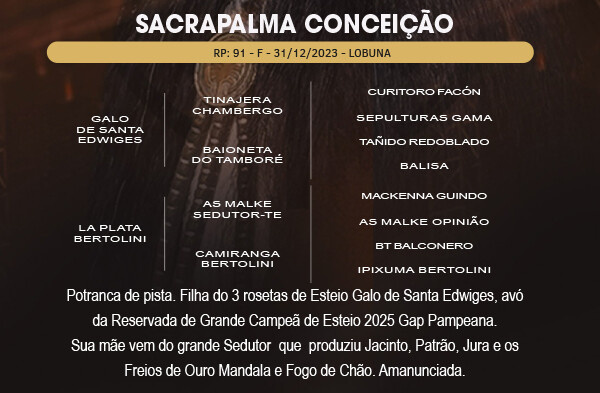 Geração SACRAPALMA CONCEIÇÃO 