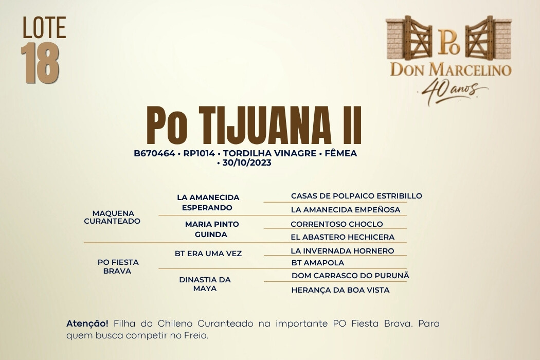 Geração PO TIJUANA II