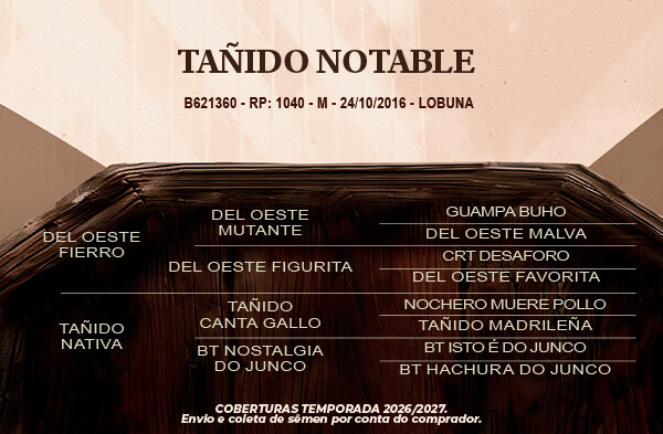 Geração Tañido Notable