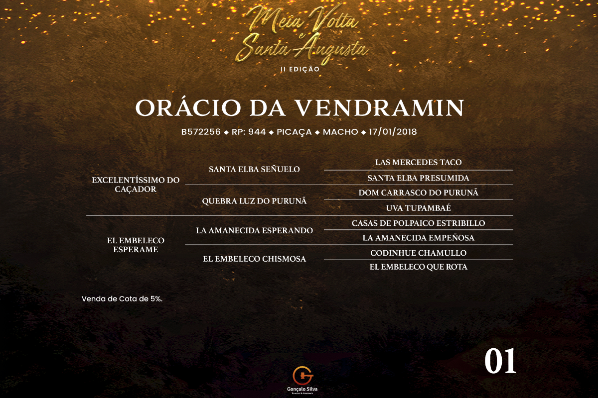 Geração ORÁCIO DA VENDRAMIN - COTA DE 5%
