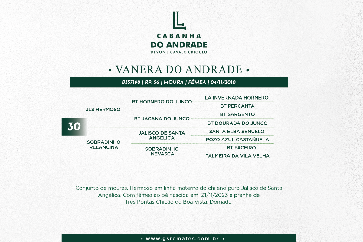 Geração VANERA DO ANDRADE