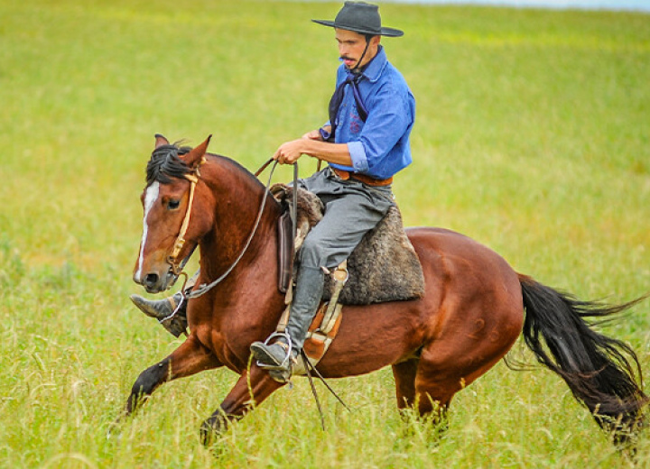 TRÊS TAIPAS ARTE CAMPEIRA