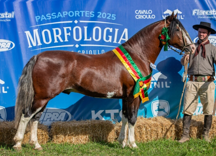TARAGÜI  APACHE
