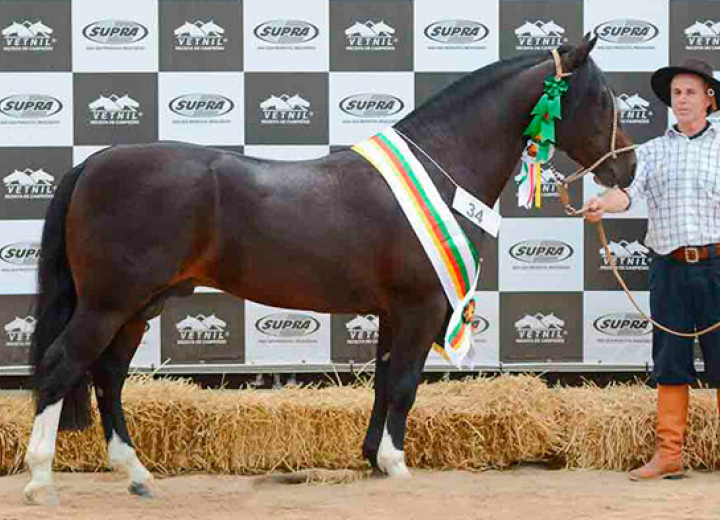 RZ LINDA NEGRA DA CARAPUÇA