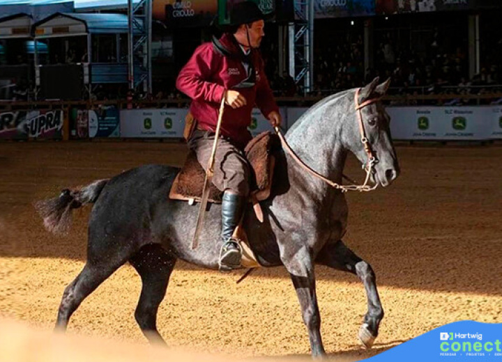 IPIRANGA DA GAP SÃO - (EMBRIÃO)