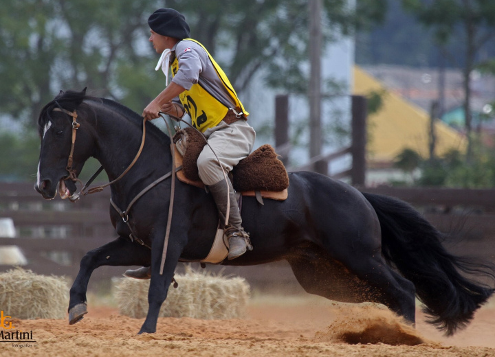 AMARGO DOS CASTANHEIROS