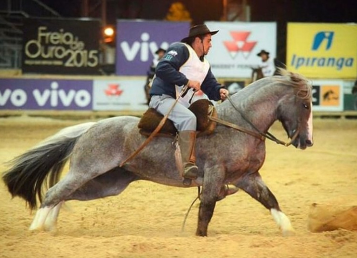 QUINCHERO DE SANTA ANGÉLICA