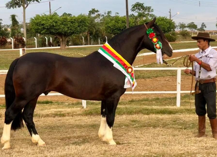 OUTRO NAIPE DA RECONQUISTA - TE 