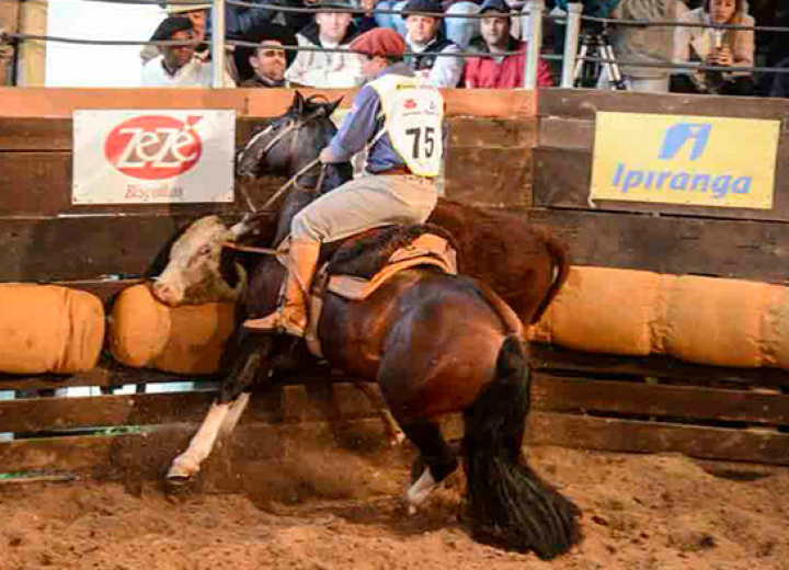 LAS MISIONES GAUCHA ACO