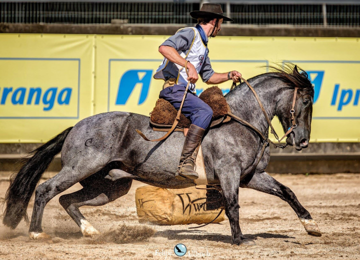 LOS HERMANOS CIMARRON