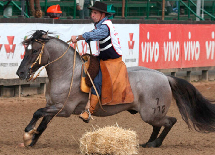 FERIADO DE SANTA EDWIGES 